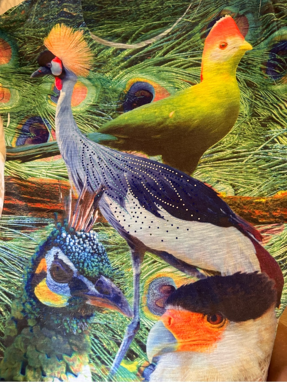 Sweet Gisele xl Bird Print Pet shirt- Multicolor